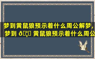 梦到黄鼠狼预示着什么周公解梦,梦到 🦆 黄鼠狼预示着什么周公解梦女 🦁 人